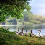 The Many Benefits of Right Fellowship