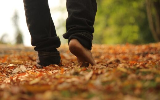 walk, woods, nature, leaves, nature walk, evening, brown walking