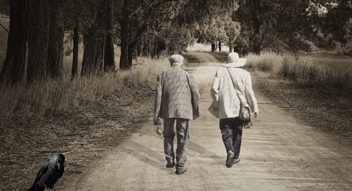 path, elderly, to walk, walk, people, elderly, elderly, walk, people, people, people, people, people