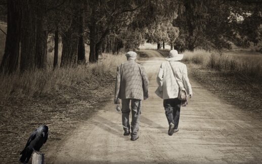 path, elderly, to walk, walk, people, elderly, elderly, walk, people, people, people, people, people