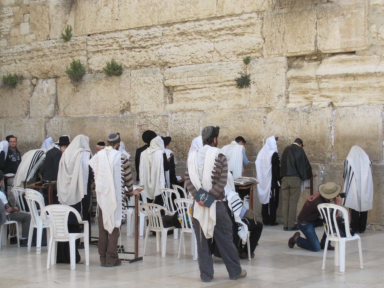 wailing wall, jerusalem, israel, jewish, judaism, temple, orthodox, worship, religion, religious, praying, pray, jew, holy, brown pray, wailing wall, jerusalem, jerusalem, jerusalem, jerusalem, israel, israel, israel, israel, israel, jewish, jewish, judaism, judaism, jew