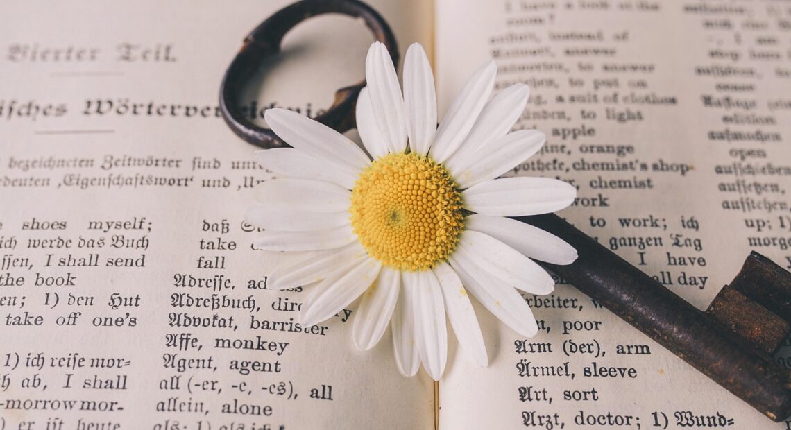 key, beautiful flowers, old, flower, nostalgic, nature, vintage, marguerite, blossom, bloom, rust, metal, antique, dictionary, flower background, german-english, translation, words, flower wallpaper, a book