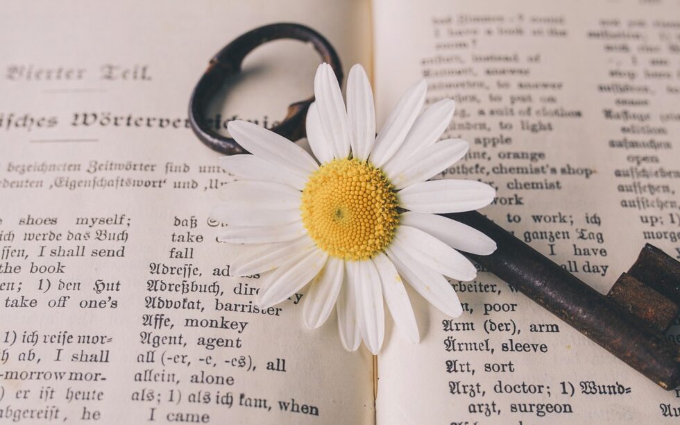 key, beautiful flowers, old, flower, nostalgic, nature, vintage, marguerite, blossom, bloom, rust, metal, antique, dictionary, flower background, german-english, translation, words, flower wallpaper, a book