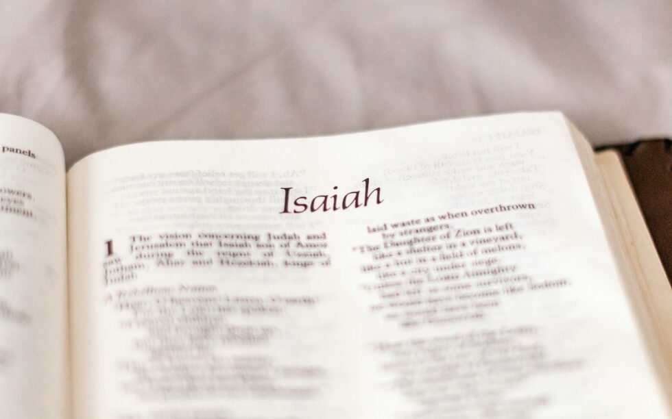 white printer paper on pink textile