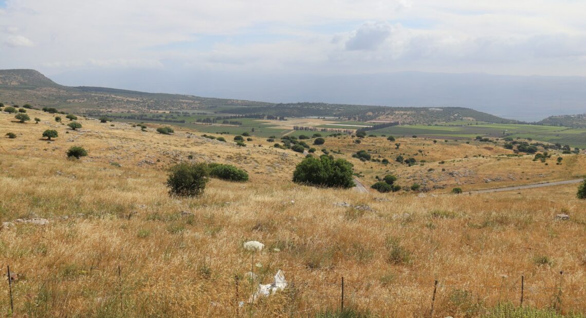 a grassy field with trees and mountains in the background