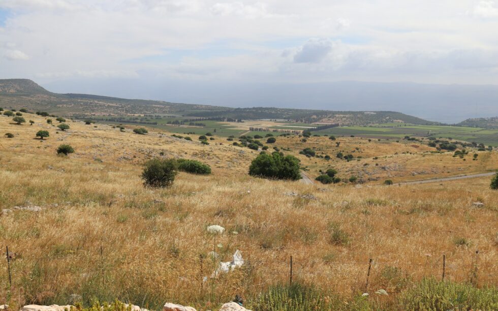 a grassy field with trees and mountains in the background